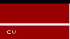 cv